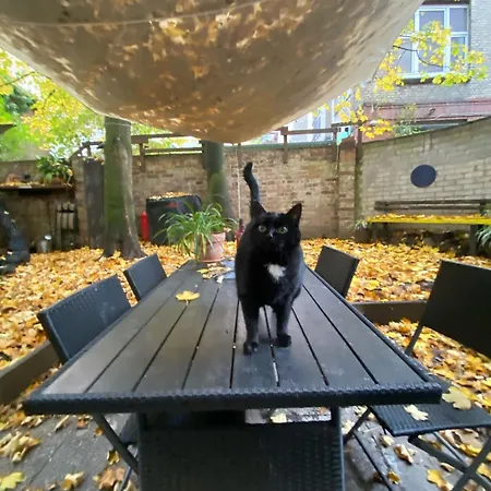 Cozy And Quiet Loft With Private Garden In A Lively Neighbourhood アパート *