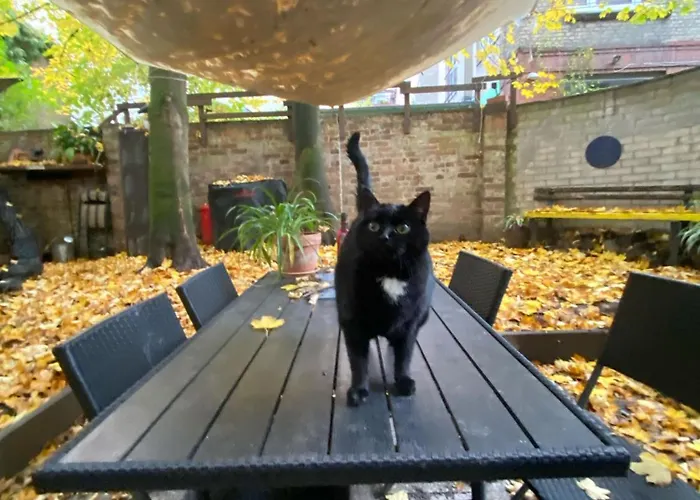 Cozy And Quiet Loft With Private Garden In A Lively Neighbourhood Apartment *